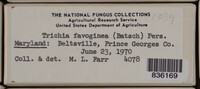 Image Associated With the Occurence